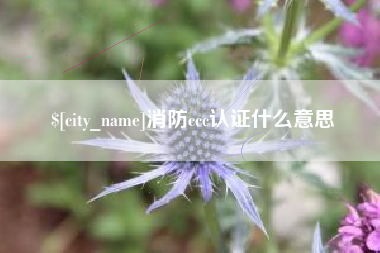 榆林消防ccc认证什么意思