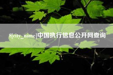 榆林中国执行信息公开网查询