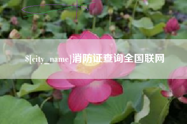 榆林消防证查询全国联网