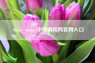 榆林中国消防网官网入口
