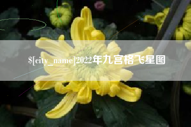榆林2022年九宫格飞星图