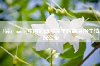 榆林中国消防救援学院湖南招生情况公布