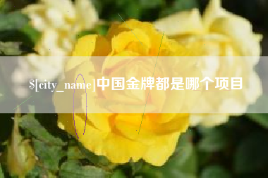 榆林中国金牌都是哪个项目