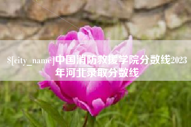 榆林中国消防救援学院分数线2023年河北录取分数线
