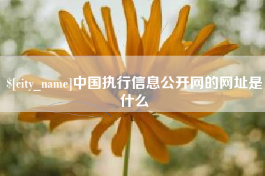 榆林中国执行信息公开网的网址是什么
