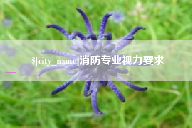 榆林消防专业视力要求
