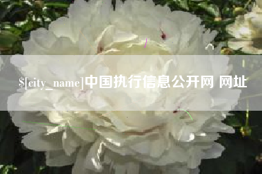 榆林中国执行信息公开网 网址