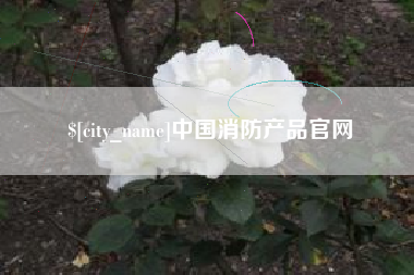 榆林中国消防产品官网