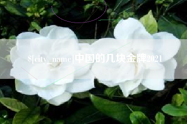 榆林中国的几块金牌2021