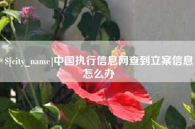 榆林中国执行信息网查到立案信息怎么办