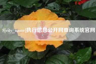榆林执行信息公开网查询系统官网