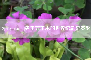 榆林男子五千米的世界纪录是多少