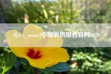 榆林中国消防报名官网2020