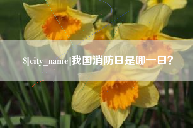 榆林我国消防日是哪一日？