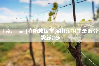榆林消防救援学院山东招生录取分数线2020