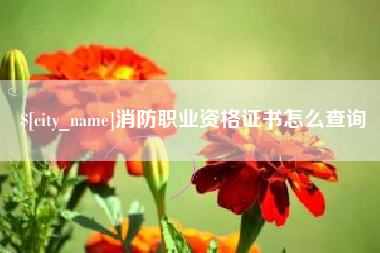 榆林消防职业资格证书怎么查询