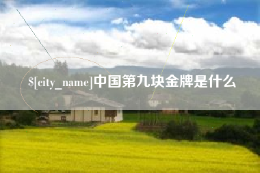 榆林中国第九块金牌是什么