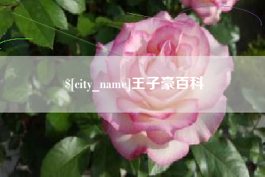 榆林王子豪百科
