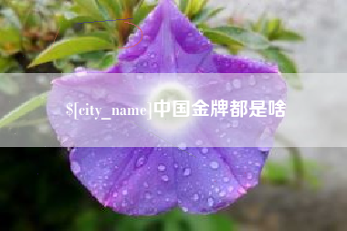 榆林中国金牌都是啥