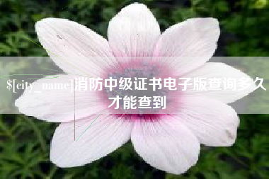榆林消防中级证书电子版查询多久才能查到