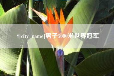 榆林男子5000米世界冠军