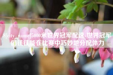 榆林5000米世界冠军配速-世界冠军们往往能在比赛中巧妙地分配体力