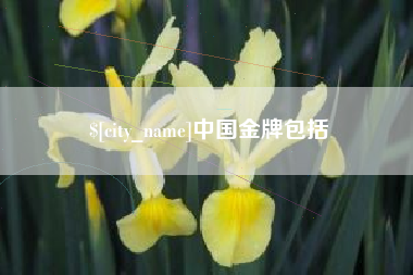 榆林中国金牌包括