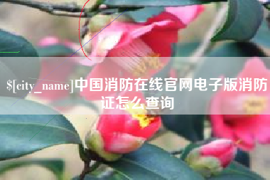 榆林中国消防在线官网电子版消防证怎么查询