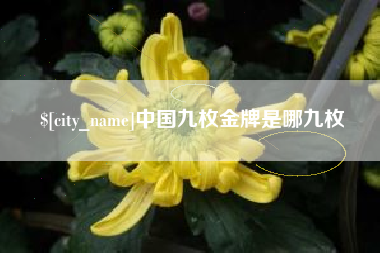 榆林中国九枚金牌是哪九枚