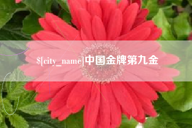 榆林中国金牌第九金