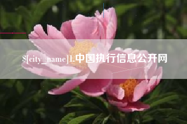 榆林1.中国执行信息公开网