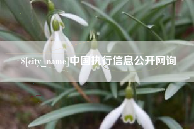 榆林中国执行信息公开网询