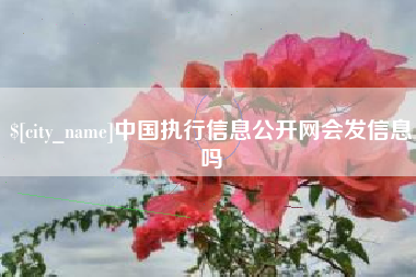 榆林中国执行信息公开网会发信息吗
