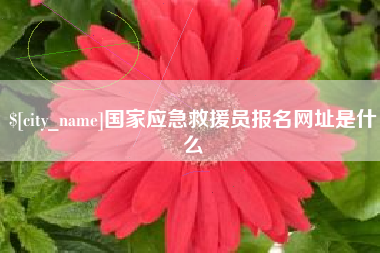 榆林国家应急救援员报名网址是什么