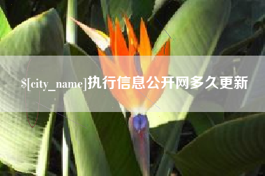 榆林执行信息公开网多久更新