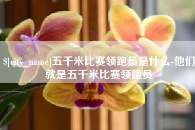 榆林五千米比赛领跑员是什么-他们就是五千米比赛领跑员
