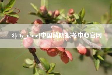榆林中国消防报考中心官网