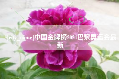 榆林中国金牌榜2024巴黎奥运会最新