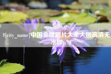 榆林中国金牌图片大全大图高清无水印