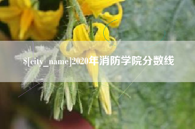 榆林2020年消防学院分数线
