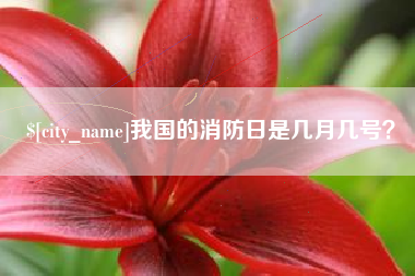 榆林我国的消防日是几月几号？