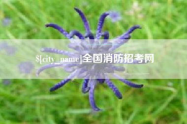 榆林全国消防招考网