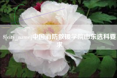 榆林中国消防救援学院山东选科要求