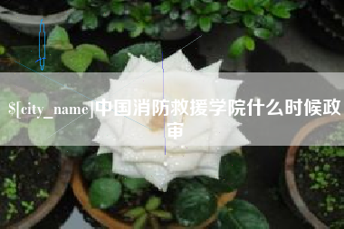 榆林中国消防救援学院什么时候政审