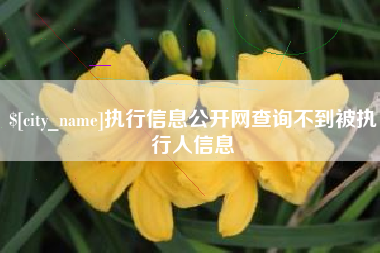 榆林执行信息公开网查询不到被执行人信息