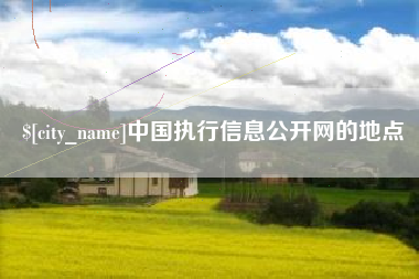榆林中国执行信息公开网的地点