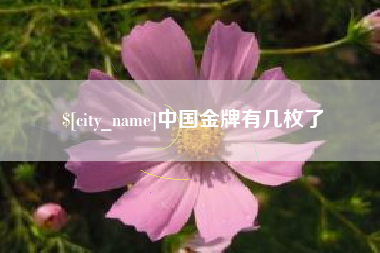 榆林中国金牌有几枚了