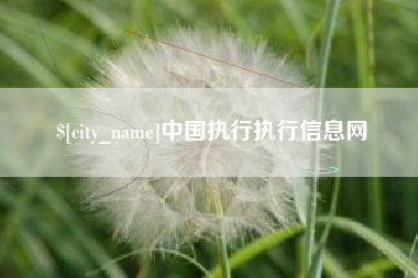 榆林中国执行执行信息网