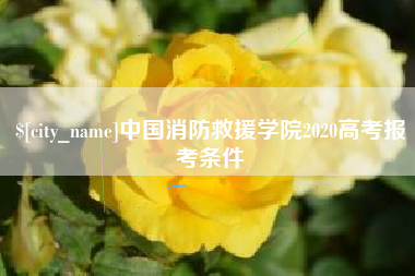榆林中国消防救援学院2020高考报考条件