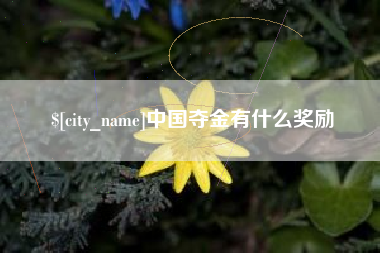 榆林中国夺金有什么奖励